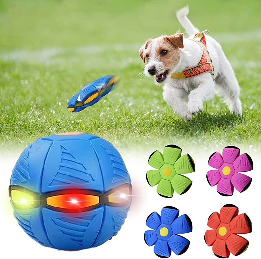 Pawlouza™ Dog Frisbee