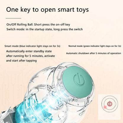 Pawlouza™ Interactive Ball