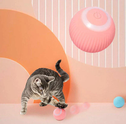 Pawlouza™ Interactive Ball