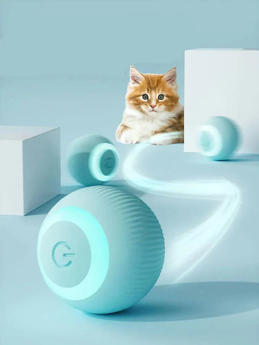 Pawlouza™ Interactive Ball