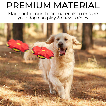 Pawlouza™ Dog Frisbee