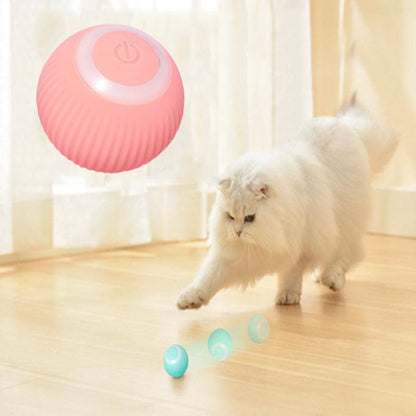 Pawlouza™ Interactive Ball