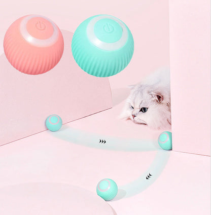 Pawlouza™ Interactive Ball